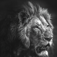 Портрет фотографа (аватар) Keith Carey