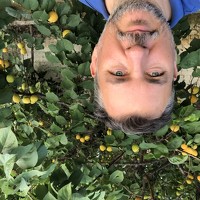 Портрет фотографа (аватар) Ufuk MARMARA