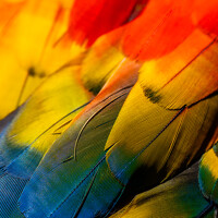 Портрет фотографа (аватар) Daniel Garzón Moreno