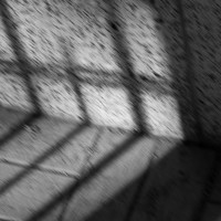 Фотография Марина Кожемякина (Kozhemyakina Marina) Портрет фотографа (аватар) Марина Кожемякина (Kozhemyakina Marina)