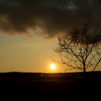 Фотография Aminat Koxayeva (Aminat Kokhajeva) Портрет фотографа (аватар) Aminat Koxayeva (Aminat Kokhajeva)