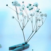 Портрет фотографа (аватар) Мария Гиниатуллина (Maria Giniatullina)