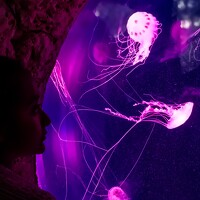 Портрет фотографа (аватар) Juan Diego Canche Cherrez (juan diego canche)