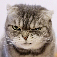 Фотография wgs (MOXIE) Портрет фотографа (аватар) wgs (MOXIE)