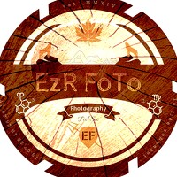 Портрет фотографа (аватар) Krauthausen Dennis (EzR FoTo)