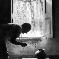 Портрет фотографа (аватар) ARMANDO ROJAS FLOREZ