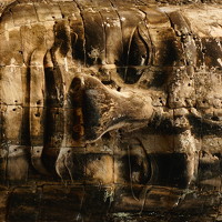 Портрет фотографа (аватар) Daniel Ureke