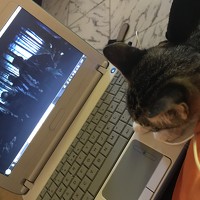 Портрет фотографа (аватар) Lydia Jeke (Lydia)