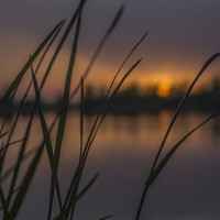 Портрет фотографа (аватар) iliya levkov (iliya kochev levkov)