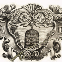 Фотография Андрей Букин (Andrey Bukin) Портрет фотографа (аватар) Андрей Букин (Andrey Bukin)