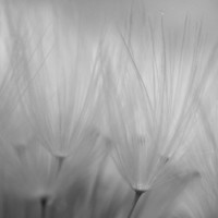 Портрет фотографа (аватар) Atelie-to