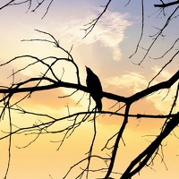 Портрет фотографа (аватар) Медина Базарбаева (Medina Bazarbaeva)