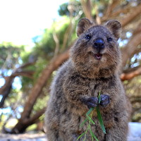 Портрет фотографа (аватар) Lola