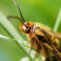 Фотография Дмитрий (Dmitry) Портрет фотографа (аватар) Дмитрий (Dmitry)