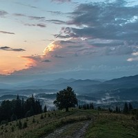 Портрет фотографа (аватар) Татьяна