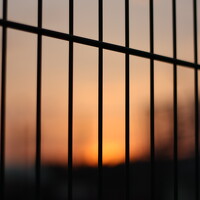 Фотография Алексей Абратанов (Alex Fox) Портрет фотографа (аватар) Алексей Абратанов (Alex Fox)