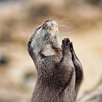 Фотография Sander Zaytek Портрет фотографа (аватар) Sander Zaytek