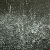 Портрет фотографа (аватар) Dalatnm