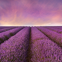 Портрет фотографа (аватар) кеарпсрмрппас