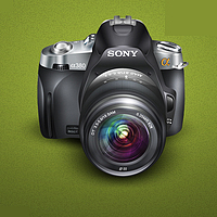 Портрет фотографа (аватар) Wassim Export