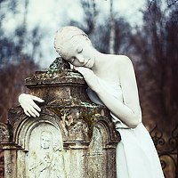 Портрет фотографа (аватар) Tokareva Ekaterina