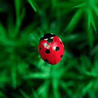 Портрет фотографа (аватар) Magdalena