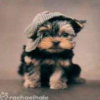 Портрет фотографа (аватар) Gala