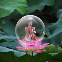 Портрет фотографа (аватар) Елена Бородич (Jelena Borodica)