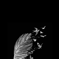 Портрет фотографа (аватар) Yara Mourad (Yara Ahmed Mourad)