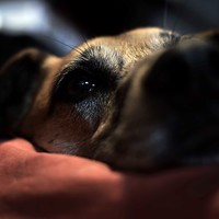 Портрет фотографа (аватар) FACUNDO SALTARELLI