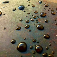 Портрет фотографа (аватар) Lorena Fontalvo (lorena fontalvo)