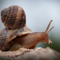 Фотография Richard Castro (Richard Gail castro) Портрет фотографа (аватар) Richard Castro (Richard Gail castro)