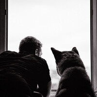 Портрет фотографа (аватар) Михаил Деревянов (Mikhail Derevyanov)