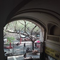 Портрет фотографа (аватар) Gabriela Stefanelli