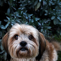 Портрет фотографа (аватар) Lorenzo Perotti