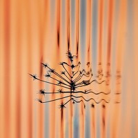 Фотография Veronika K Ko Портрет фотографа (аватар) Veronika K Ko