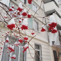 Портрет фотографа (аватар) Татьяна Ситникова (Sitnikova Tatyana)