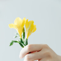 Портрет фотографа (аватар) Chan Owen (Owen)