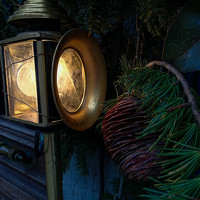 Фотография Марина Пшен (Marina Pshen) Портрет фотографа (аватар) Марина Пшен (Marina Pshen)