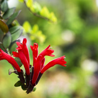 Портрет фотографа (аватар) Khoi Nguyen Van (Nguyen Van Khoi)