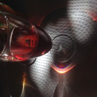 Фотография José Cruz (Portugal) Портрет фотографа (аватар) José Cruz (Portugal)