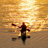 Портрет фотографа (аватар) Максимов Алексей (ALEKSEY MAKSIMOV)