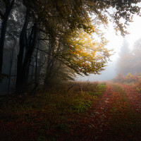 Портрет фотографа (аватар) Пенов Пламен (Plamen Penov)