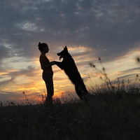 Портрет фотографа (аватар) Alona Landsman