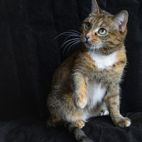 Портрет фотографа (аватар) Игорь Смирнов (Igor Smirnov)