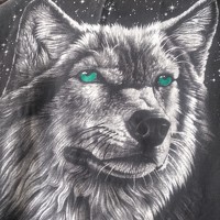 Портрет фотографа (аватар) Lidija Jevremovic