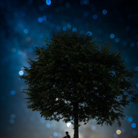 Портрет фотографа (аватар) alexander forst