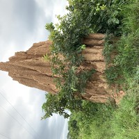 Портрет фотографа (аватар) Prince Sarfo Agyemang