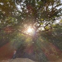 Портрет фотографа (аватар) Imrana Kousar (Imrana kousar)