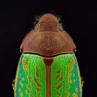 Портрет фотографа (аватар) Jorge Jensen